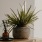 decor on entryway table